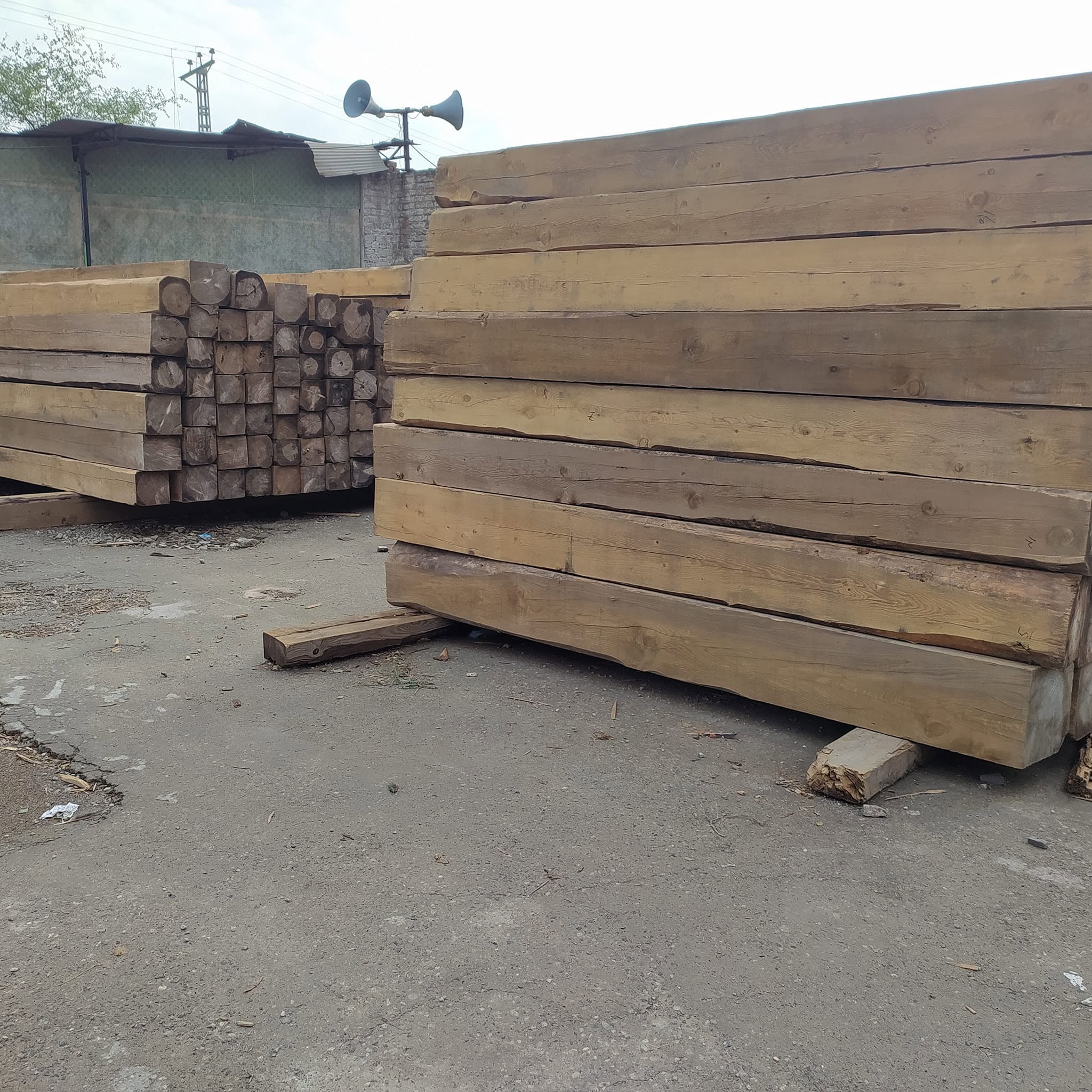 Cedar wood