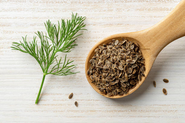Dill leaves
