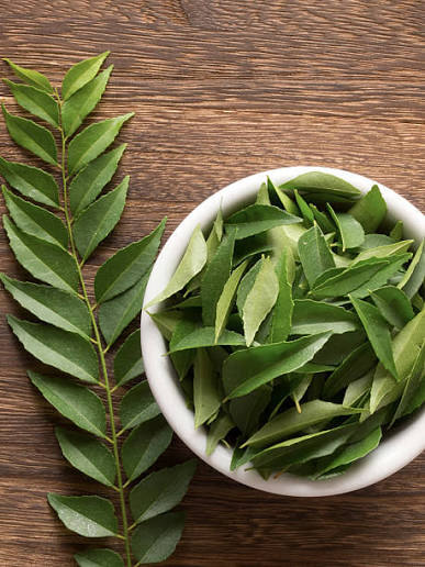 Neem leaves