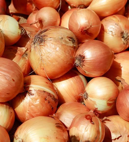 Onion bulbs