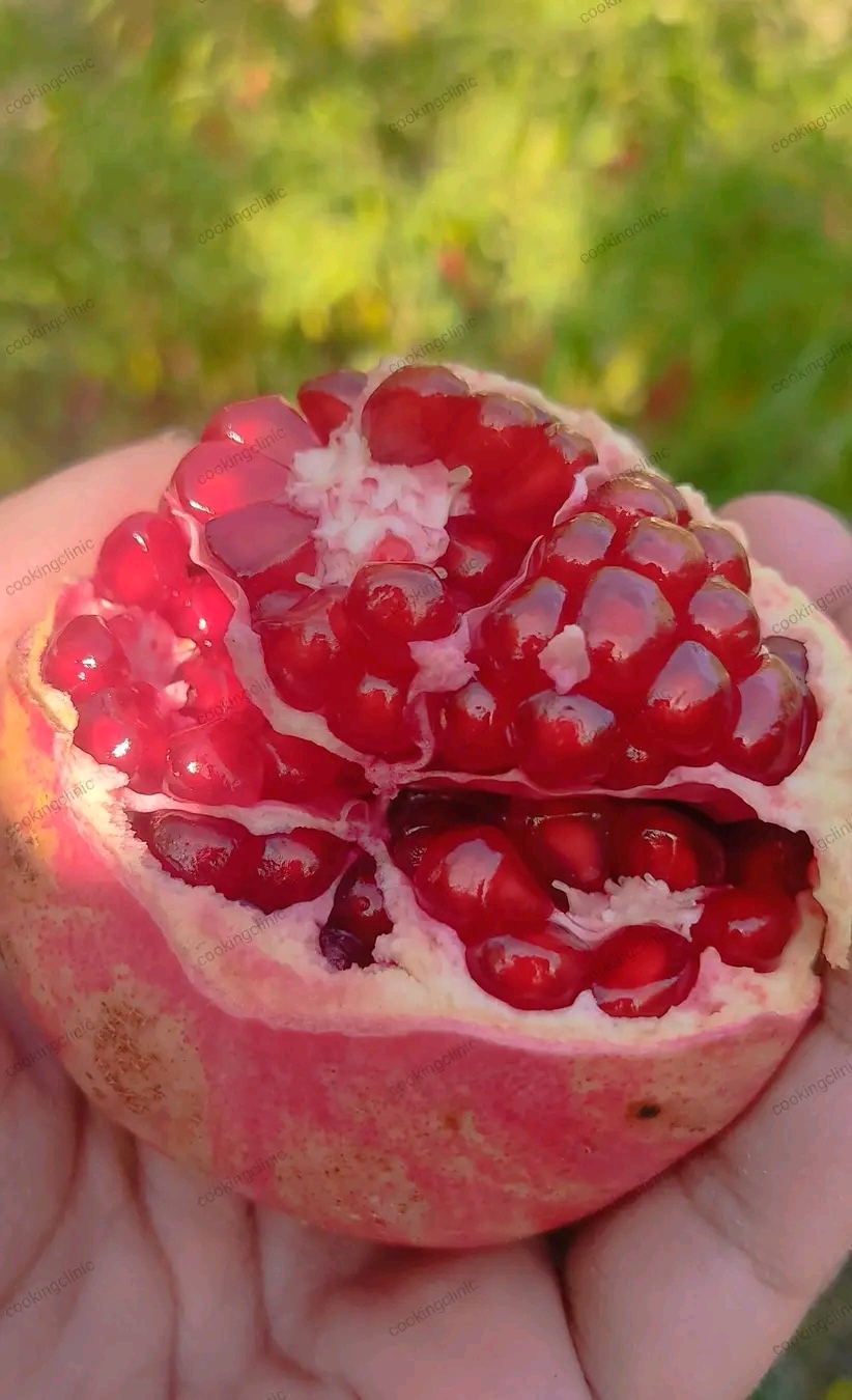 Pomegranate fruit Punica granatum cut open showing red edible arils